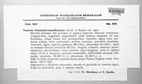 Septoria anemonis-transilvanicae image